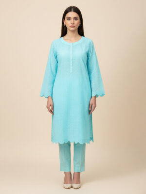 Light Blue Wholesale Chikankari Co Ord Set USA