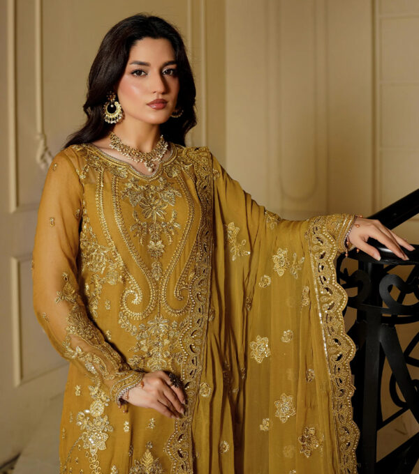 Light Brown Wholesale Pakistani Party Wear (2) Light Brown Wholesale Pakistani Party Wear