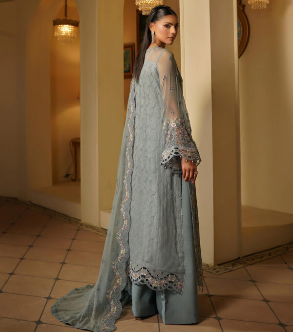 Natural Grey Wholesale Pakistani Party Wear (3) Natural Grey Wholesale Pakistani Party Wear