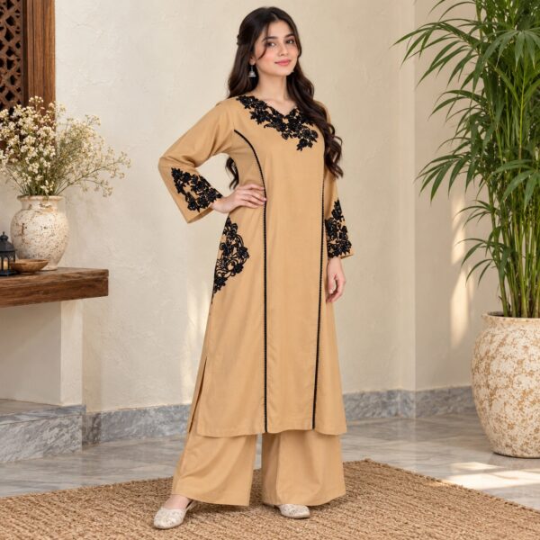 Beige pakistani dhanak suit usa Beige pakistani dhanak suit usa