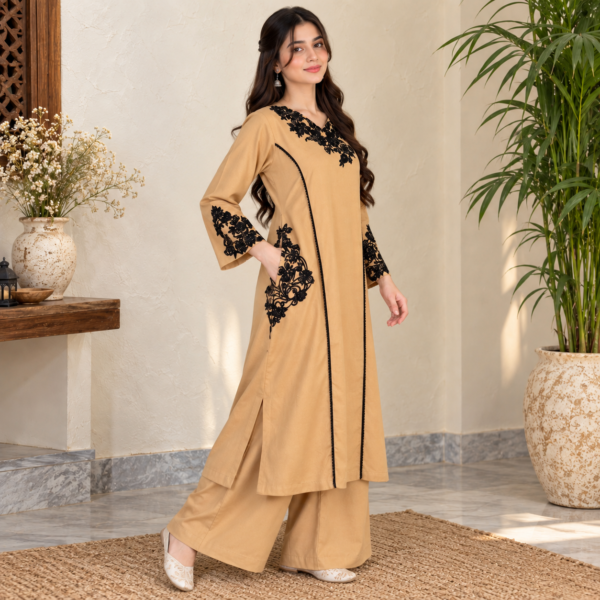 Beige pakistani dhanak suit usa Beige pakistani dhanak suit usa