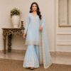 Sky Blue pakistani chiffon suit US (2) Sky Blue pakistani chiffon suit US