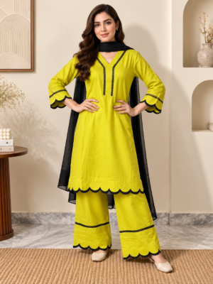 Mint Green pakistani dhanak suit usa Mint Green pakistani dhanak suit usa