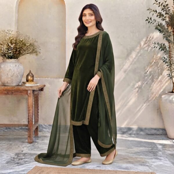 Parrot Stitched Pakistani Velvet Suit USA Parrot Stitched Pakistani Velvet Suit USA