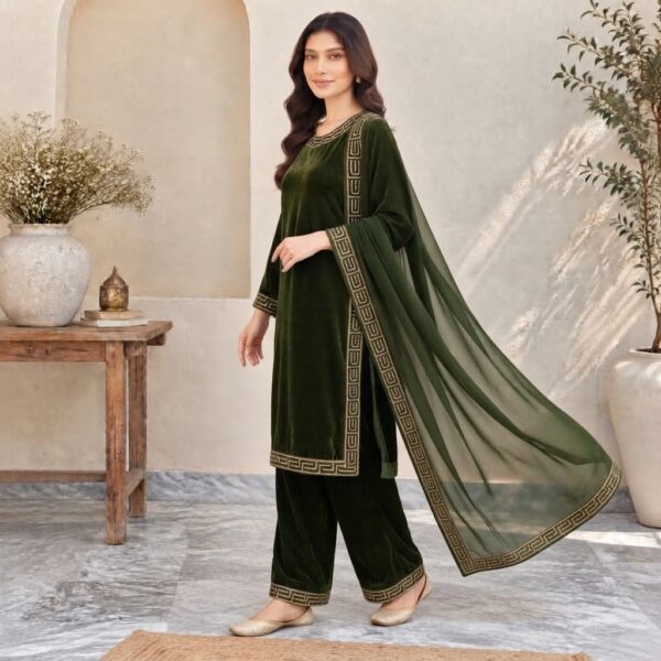 Parrot Stitched Pakistani Velvet Suit USA Parrot Stitched Pakistani Velvet Suit USA